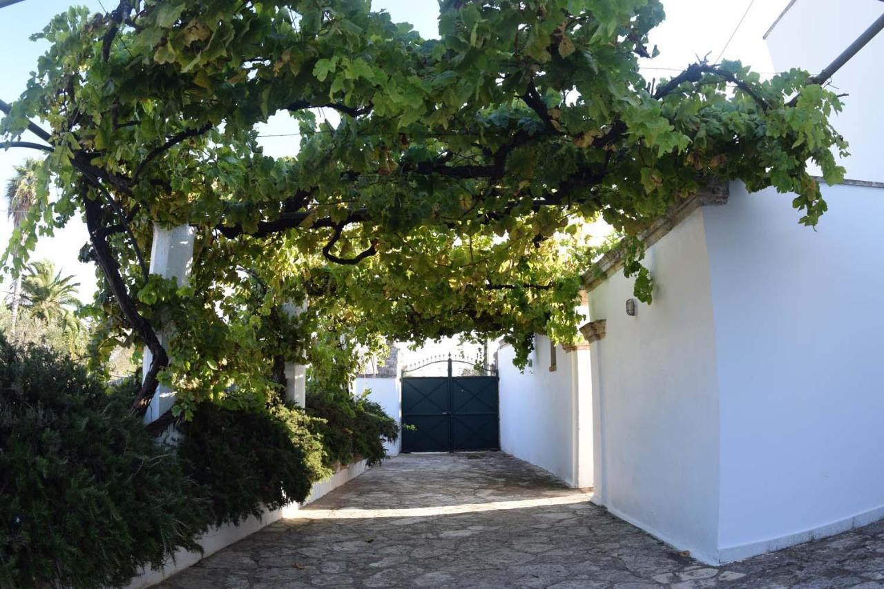 La Giara House ,Near Gallipoli Алецио Экстерьер фото